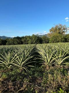 El Rincón Campestre, 2 piscinas y privacidad - 6