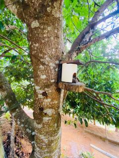 Sítio Estância Bela Vista - 6