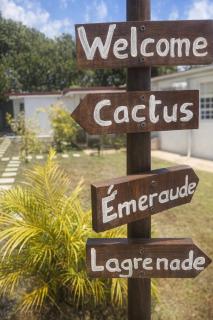 Villa cactus - 3
