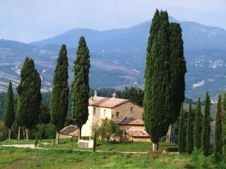 Holiday home in Celle Sul Rigo with swimming pool - 1