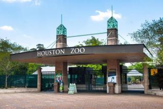 Spacious 2BR at 5 min walk to NRG | RODEO | By TMC - 1