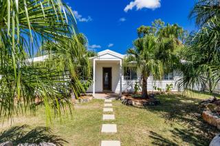 Anchor and Palms - 7