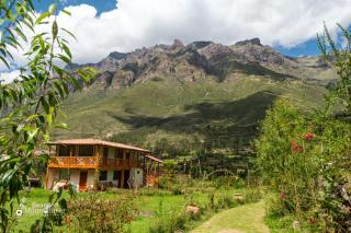 bearded mountaineer lodge - 2