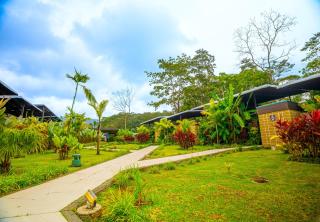 Arenal Volcano Glamping Resort - 6