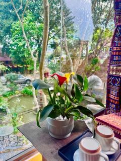 Homestay River Green - 5