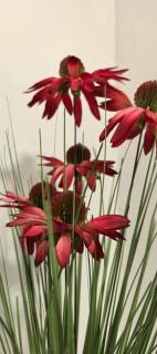 U'siba Guest House - 5