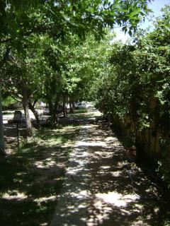 Departamento el Rosedal - San Rafael - 0