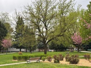 Apartment Nature View - Prievidza - 7