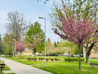 Apartment Nature View - Prievidza - 3