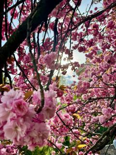 Apartment Nature View - Prievidza - 2