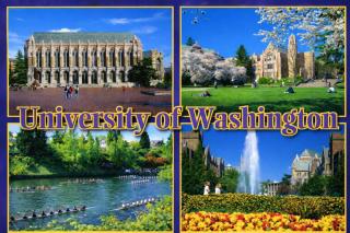 Walk to UW and Light Rail 3BR Home with Parking - 3