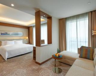 The Enclave EL DE Plaza Near IGI Airport Delhi - 7