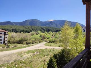 Pirin Heights Apartment 200m from SKI ROAD - 9