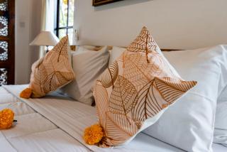 Clement Villa Ubud by Dhananjaya Hospitality - 4