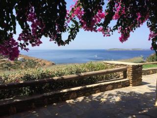 Vila Cleopatra Andros Greece - 0