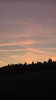 Alpenblick Rickenbach Familienfreundlich FeWo Hunde willkommen Terrasse - 5