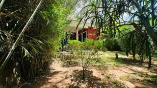 Sigiriya Danu Homestay - 9