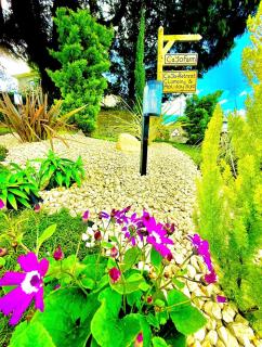 CAYORETREAT LUXURY BELL TENT - 9