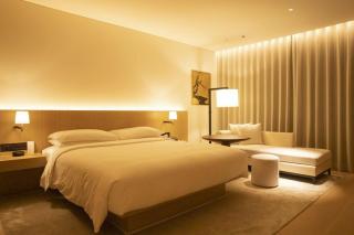 The - Grand EL DE Imperial Near International Airport Delhi - 9