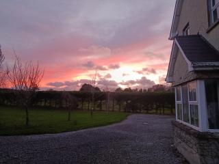 The Feathered Nest Studio Apartment at The Cracked Hen - 3