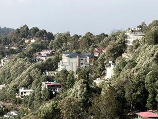 Rautela Homestay - 8