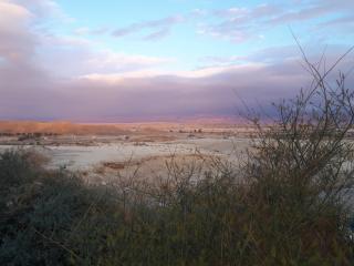 My Desert Home - Tzukim - 3