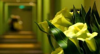 Milan Fashion Hotel - 4