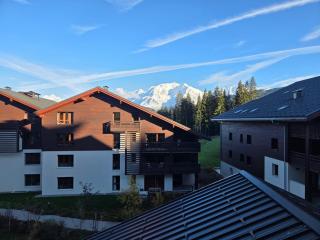 Les Roches du Mont Blanc - Résidence & Spa - 7