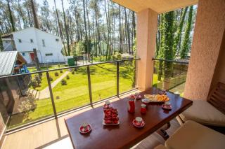 Magnetaris 3 BR House - family paradise in woods - 4