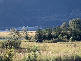 Charming Minimalist Cabin Escape with Modern Essentials in Seward, Alaska - 7