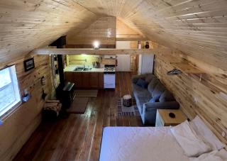 Secluded High-Elevation Cabin Under Pristine Dark Skies in La Jara, Colorado - 7
