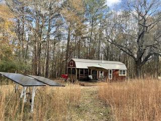 Serene Forest Cabin with Hammock, Loft & Reading Nook in La Grange, Georgia - 6