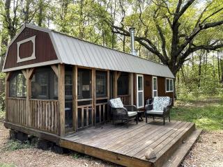 Serene Forest Cabin with Hammock, Loft & Reading Nook in La Grange, Georgia - 0