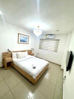 Gem of Gallery - 4