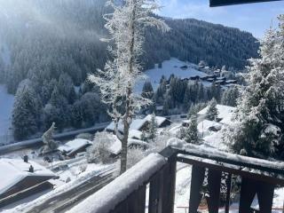 Chalet Violeta - 3