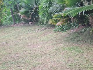 Red Palm Hotel - 3