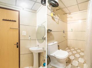 Treebo Premium Inn 62 - 8