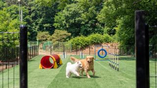 Goesan Glam House Pet Pension - 9