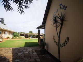 Aloe Tree Guest House - 5