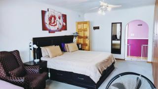 Cozy Peaceful Home Perfect for Work or Relaxation - 0