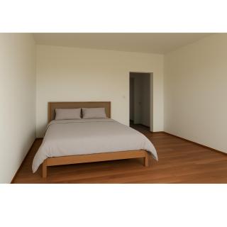 Light Cozy Apartment - 3