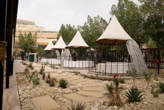 Alammariah Hills Resort- Riyadh - 1