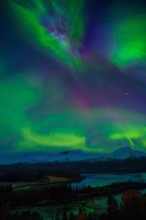 Efjord Panorama Lodge, Spectacular View and Jaccuzi - 9