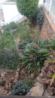 Palm View Guest House - 5