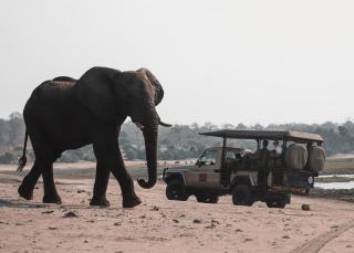 Chobe House Villa and Chalets - 7