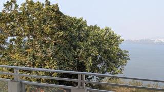Nest By The Lake - 6
