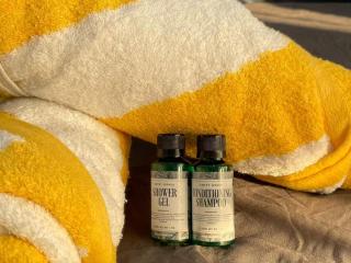 Hijrah De La Villa Parit Buntar Nibong Tebal Penang - 5