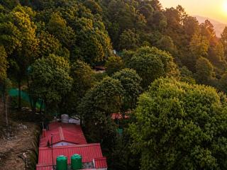 Tree Heaven Resort - 3