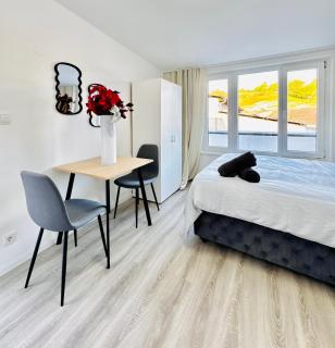 2BR Apt & LR with Terrace, Close to Museum Gugging - 8