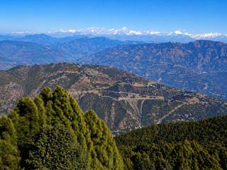 Tree Heaven Resort - 5
